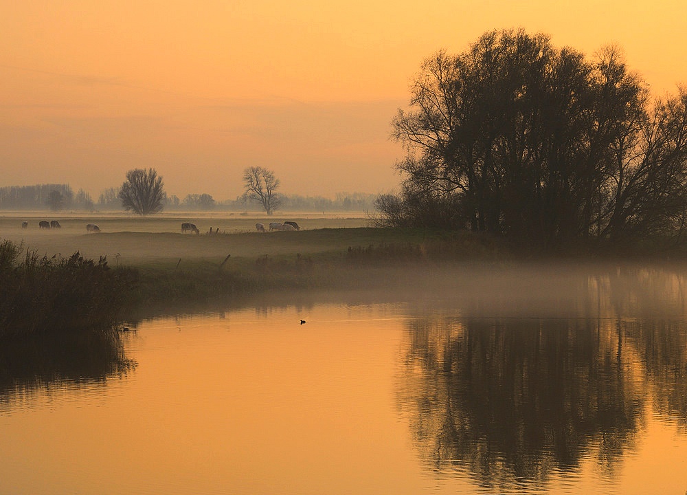 photo "***" tags: landscape, sunset