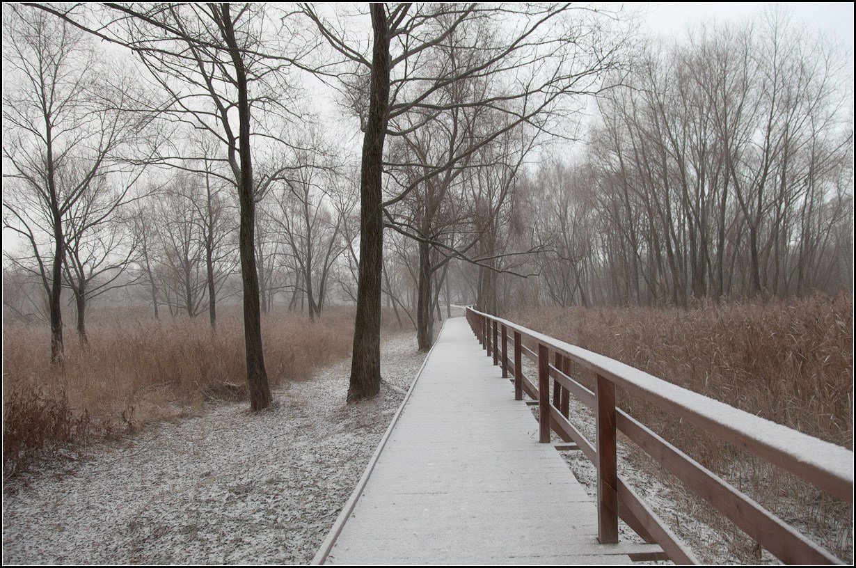 photo "the beginning of winter 2" tags: landscape, autumn