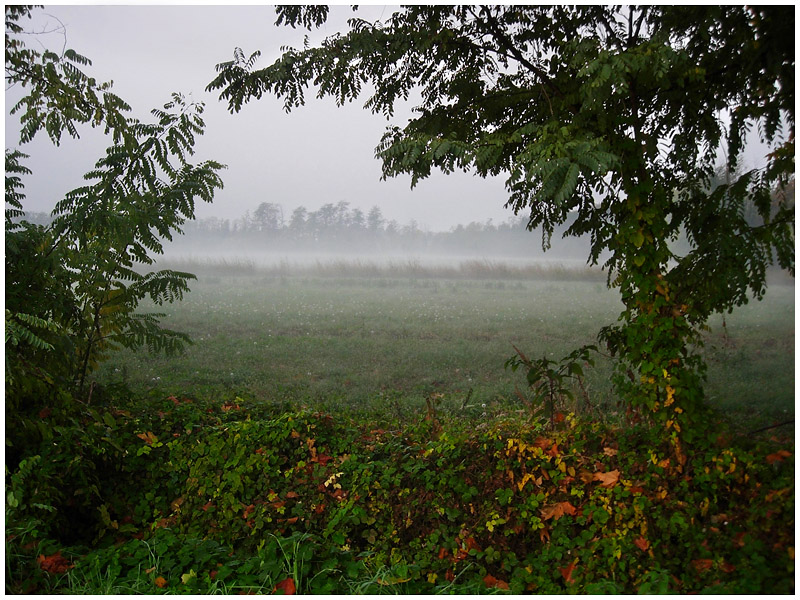 photo "***" tags: landscape, autumn