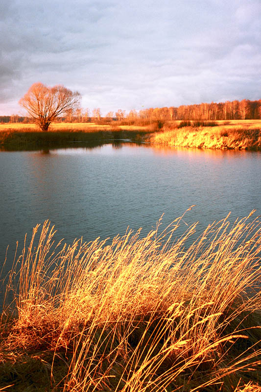 photo "***" tags: landscape, autumn