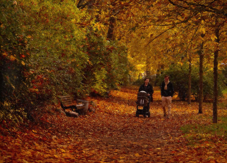 photo "***" tags: landscape, autumn