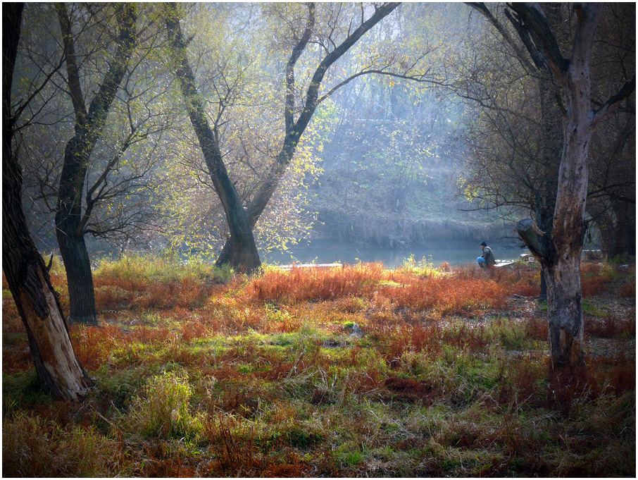 фото "***" метки: пейзаж, 