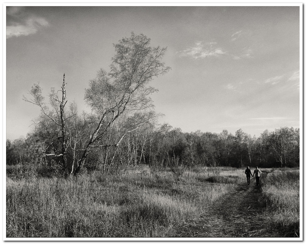 photo "***" tags: landscape, black&white, autumn