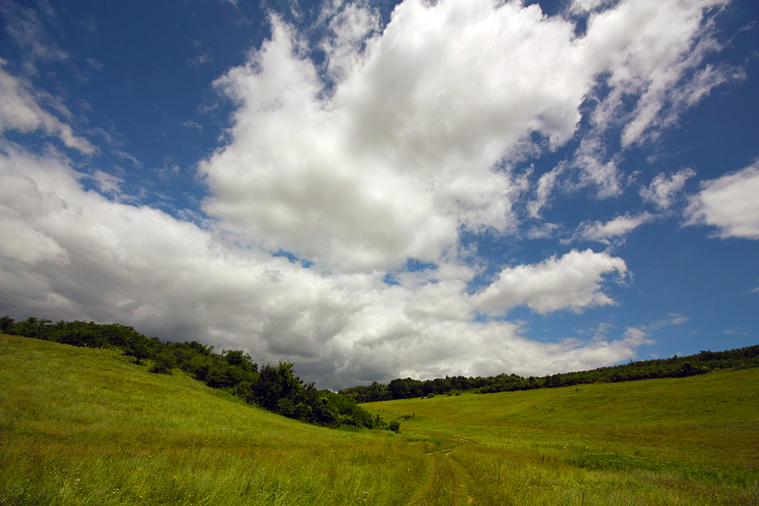 photo "Clouds over the forest" tags: landscape, clouds, forest, sky, spring