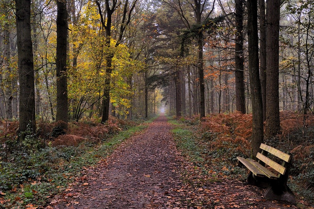 photo "***" tags: landscape, autumn