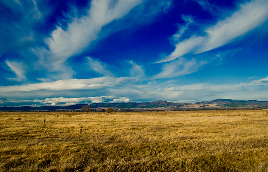 photo "That's how November started" tags: landscape, autumn