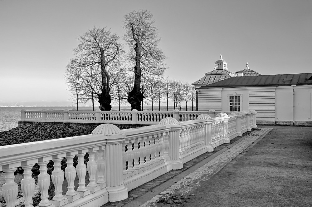 фото "Композиция с оградой и двуми старыми тополями" метки: архитектура, черно-белые, пейзаж, 