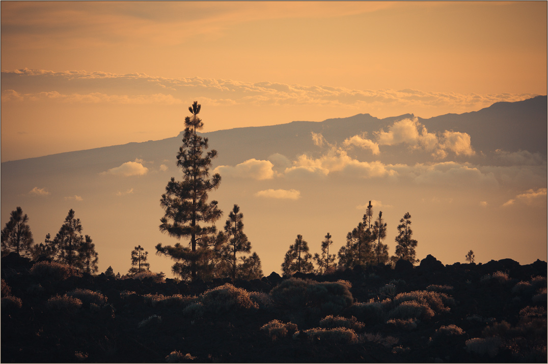 photo "***" tags: landscape, clouds, sunset