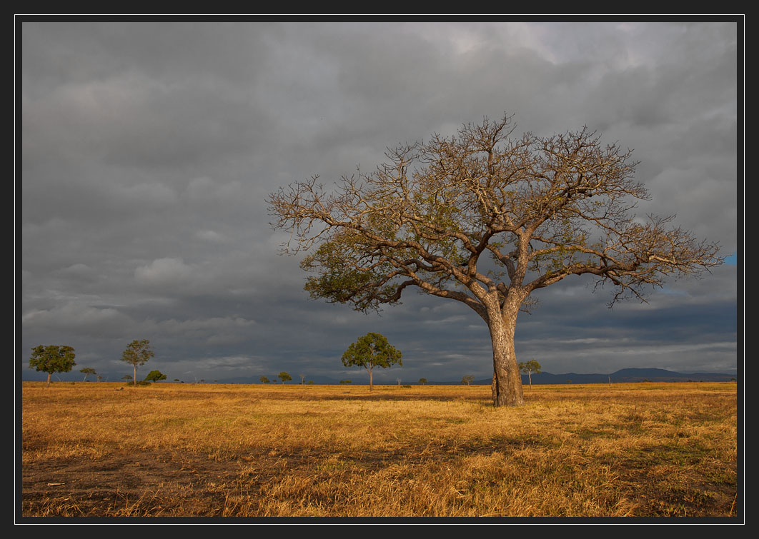 photo "Evening landscape" tags: landscape, travel, 