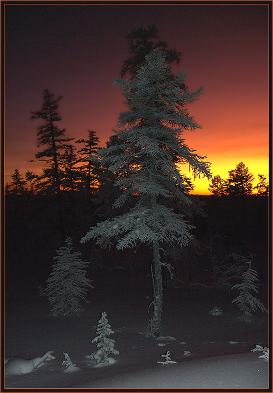 photo "***" tags: landscape, sunset, winter