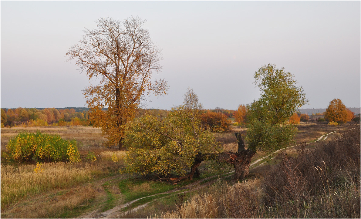 фото "Осенняя грусть" метки: пейзаж, природа, осень