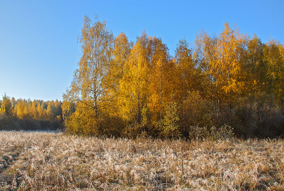 фото "Осень. Морозное утро." метки: пейзаж, осень