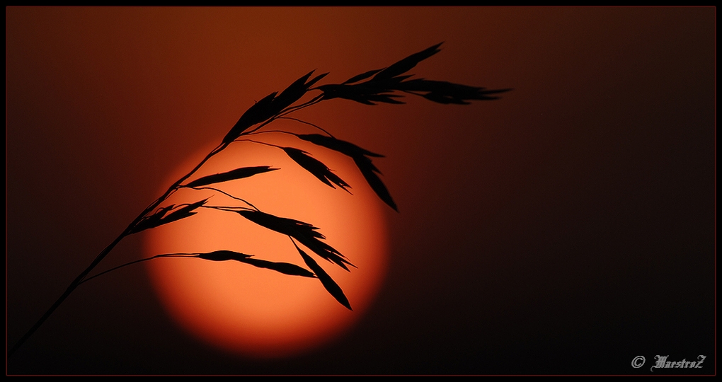 photo "***" tags: landscape, still life, sunset