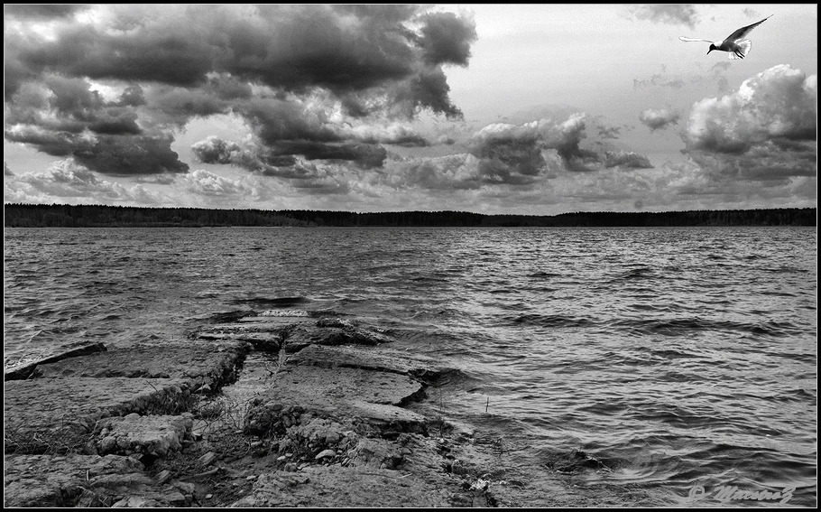 photo "***" tags: landscape, autumn, water