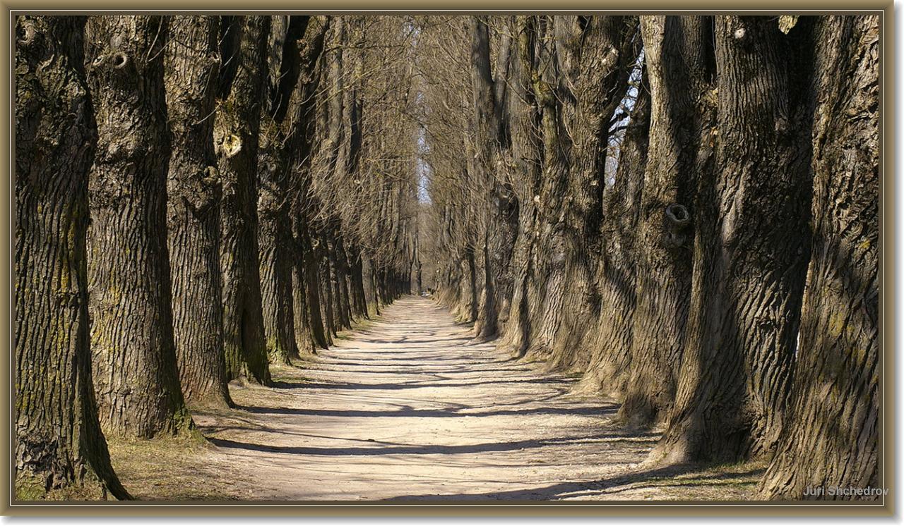 photo "Alley" tags: landscape, travel, Europe, spring