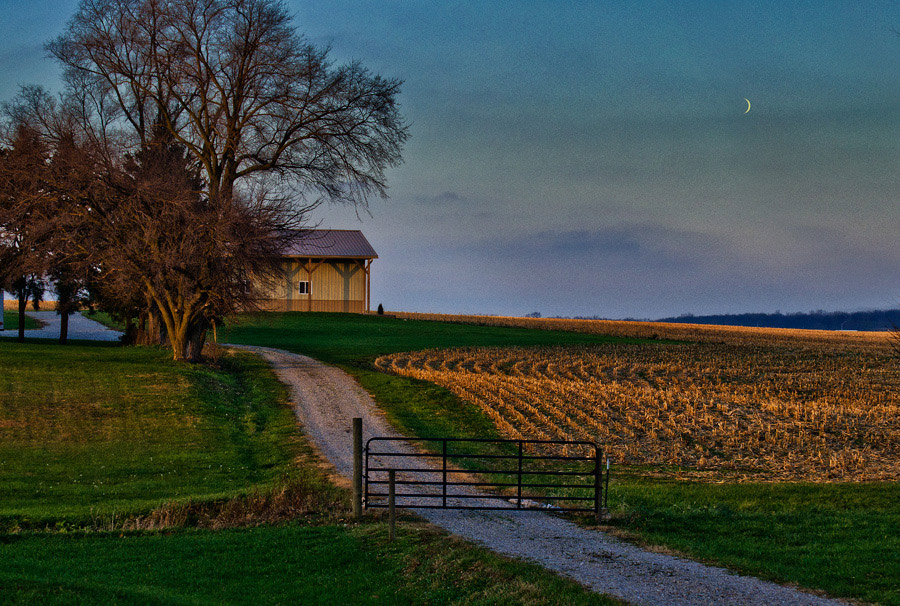 photo "November Afternoon" tags: landscape, 