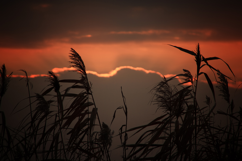 photo "***" tags: landscape, sunset