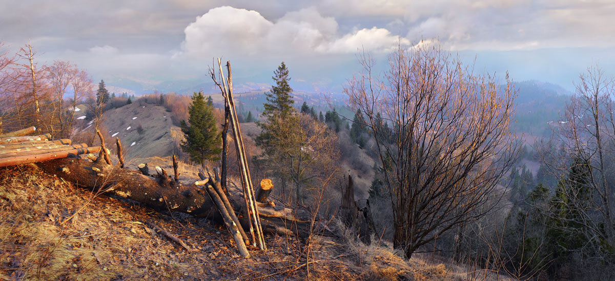 photo "land of lumberjacks" tags: landscape, mountains, spring