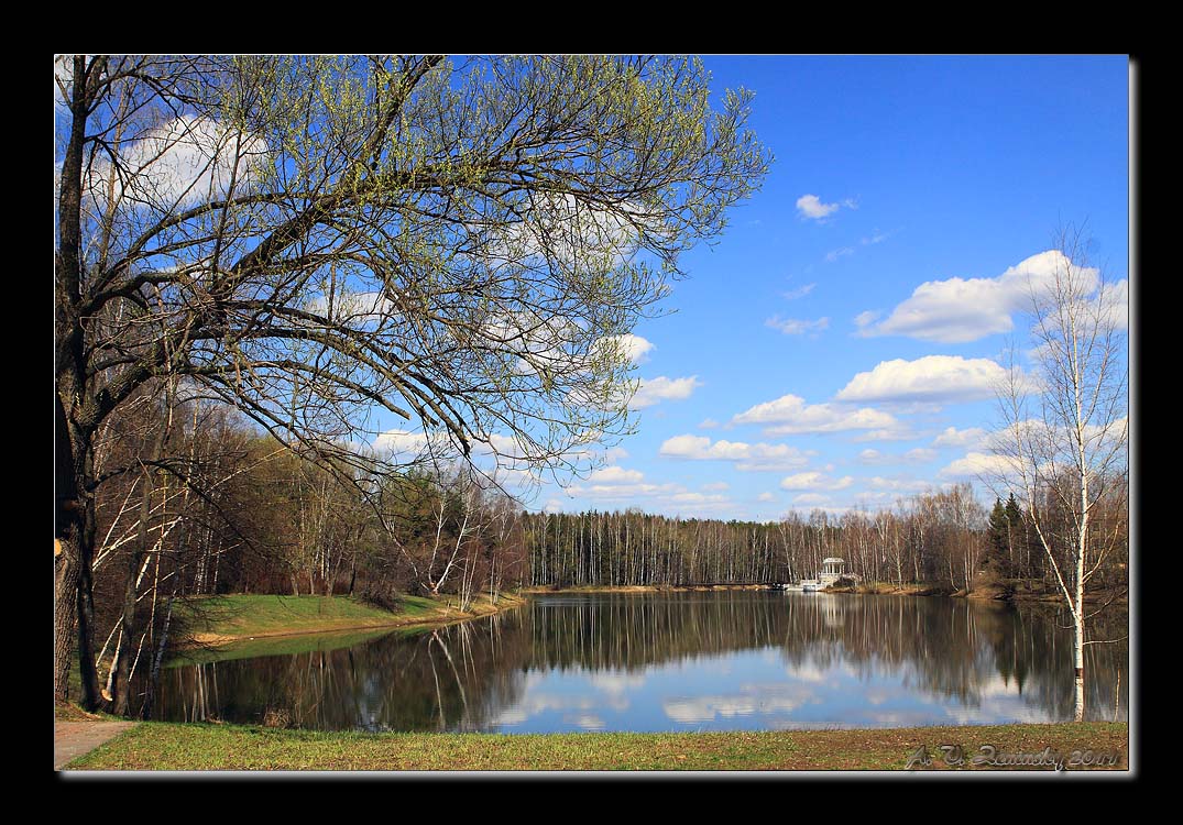 photo "Spring landscape with a lake." tags: landscape, spring, water