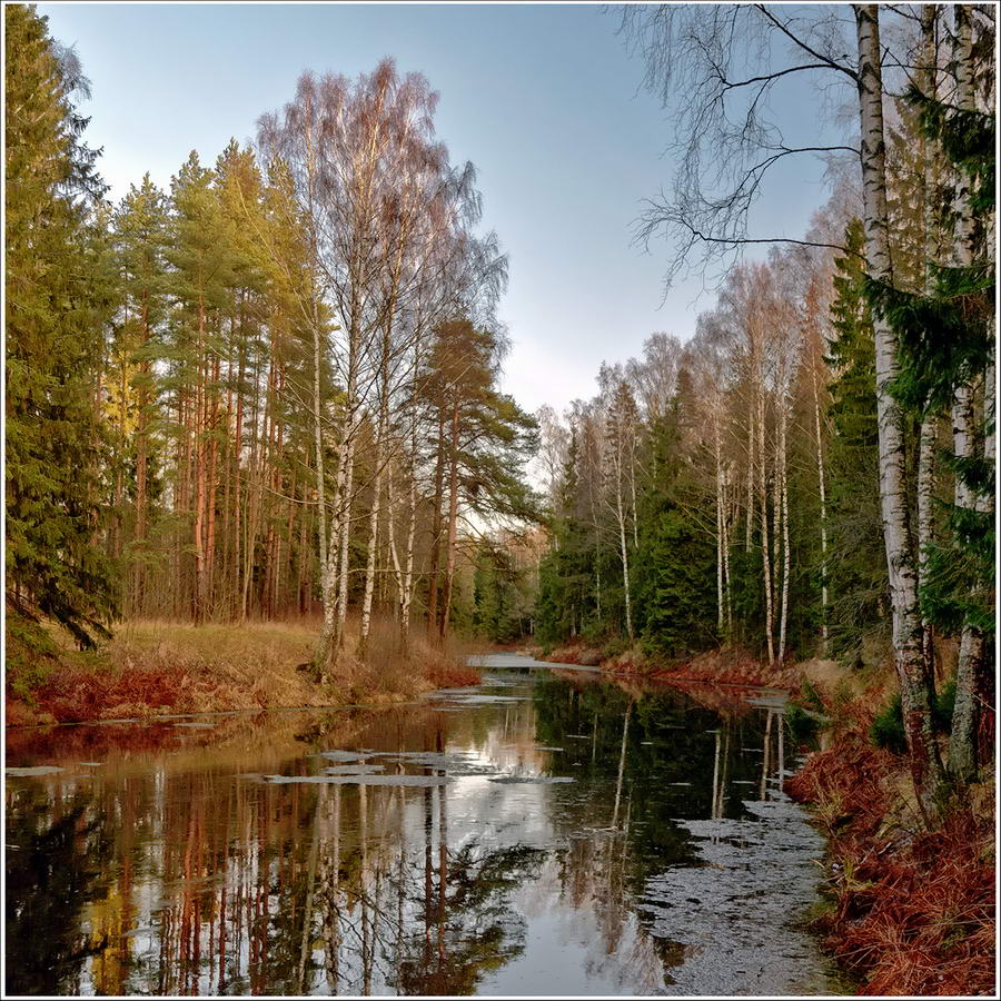 фото "осень без названия" метки: пейзаж, лес, осень