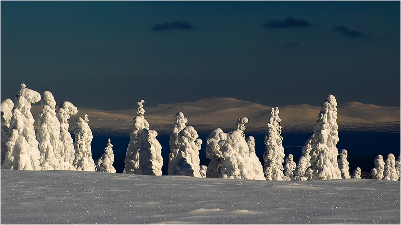 фото ""Странники"" метки: пейзаж, зима, лес