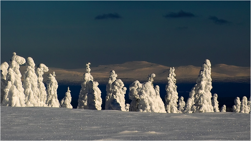 photo "***" tags: landscape, forest, winter