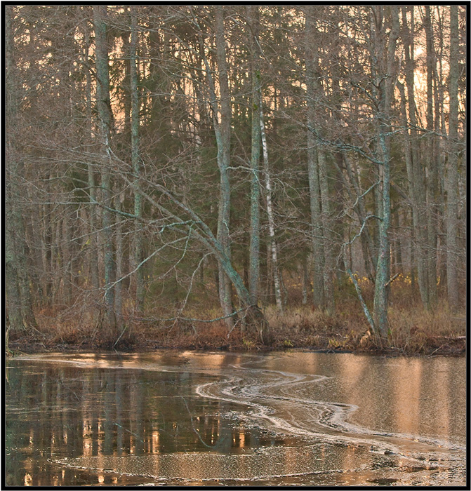 photo "***" tags: landscape, autumn