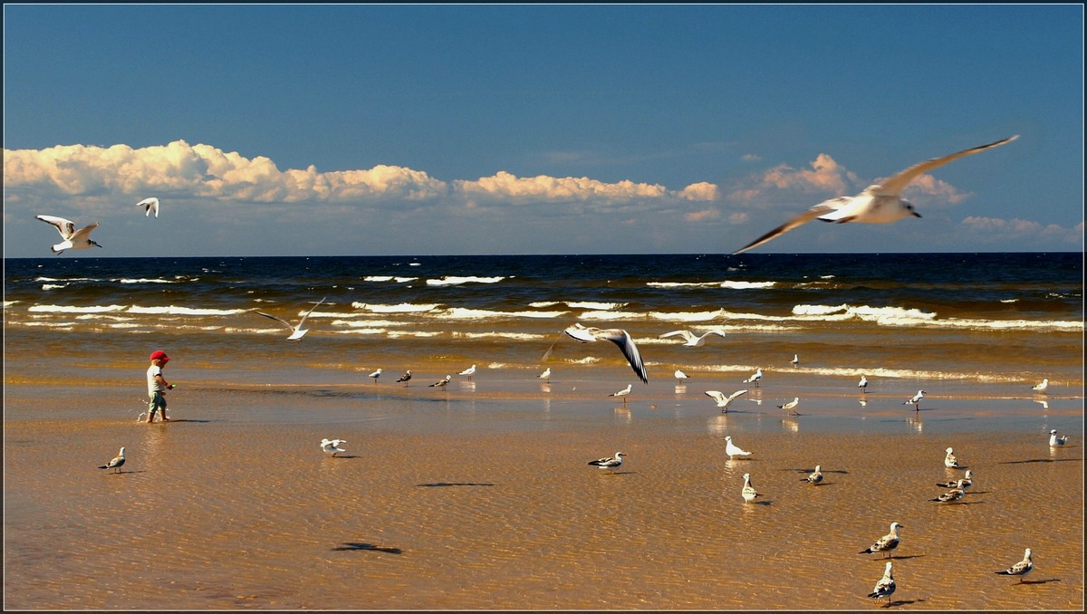 фото "First steps on the sea" метки: пейзаж, вода, лето