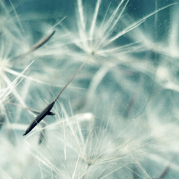 photo "* * *" tags: , 