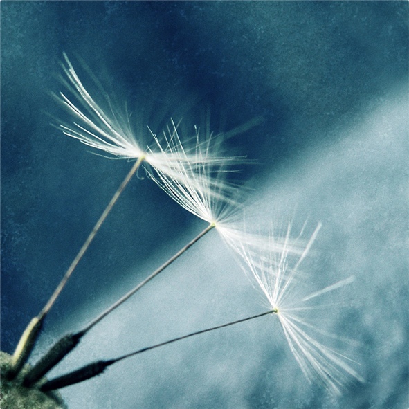 photo "* * *" tags: , 