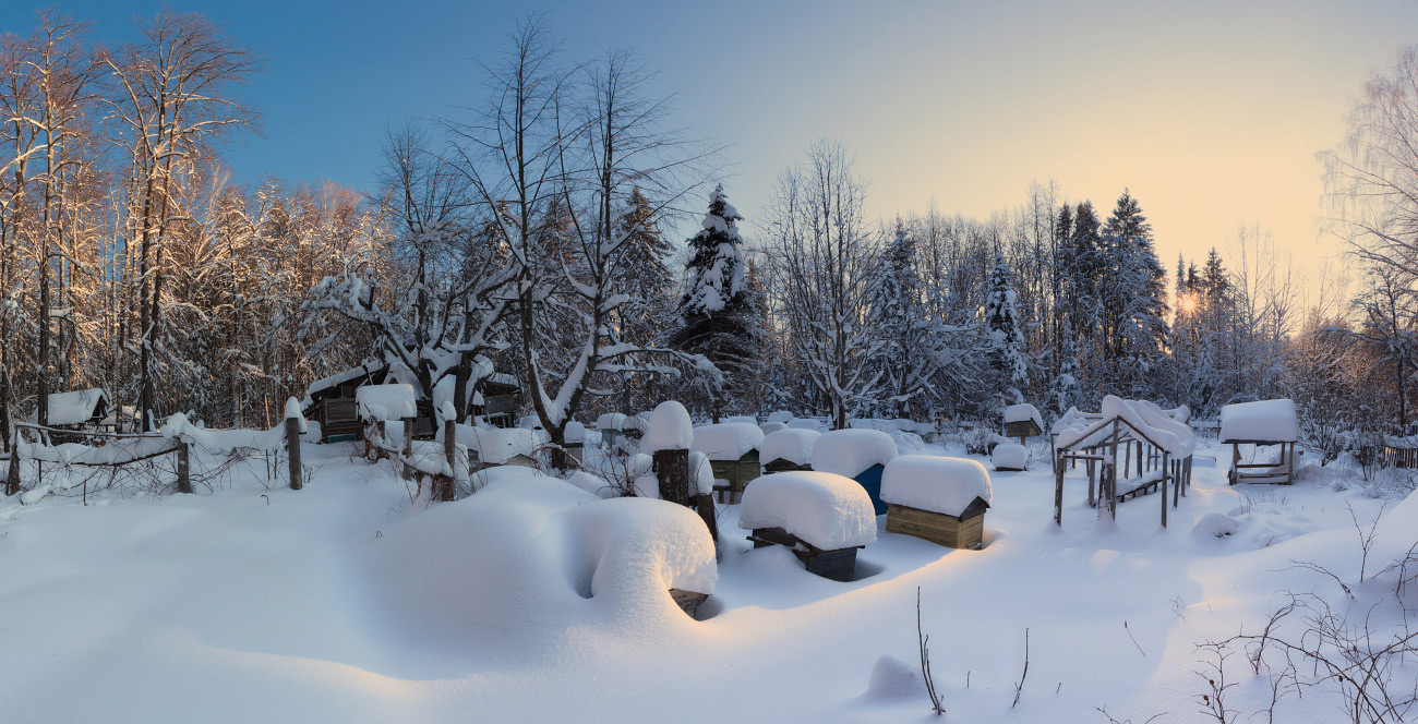 photo "***" tags: landscape, panoramic, winter