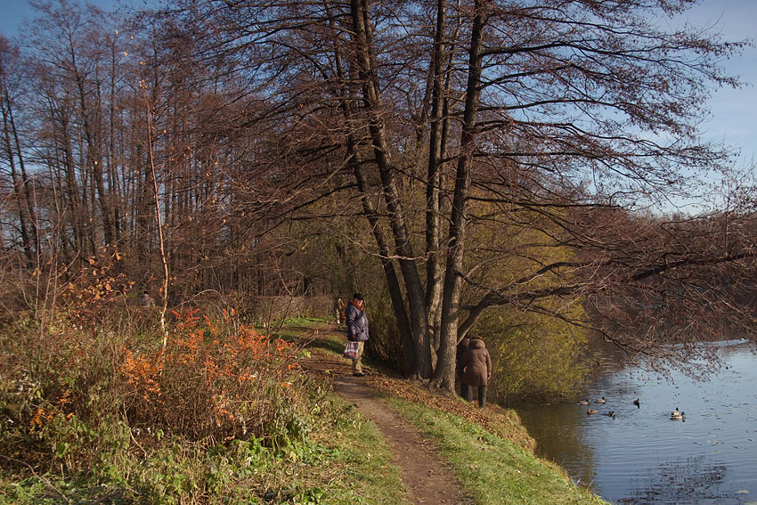 photo "***" tags: landscape, autumn