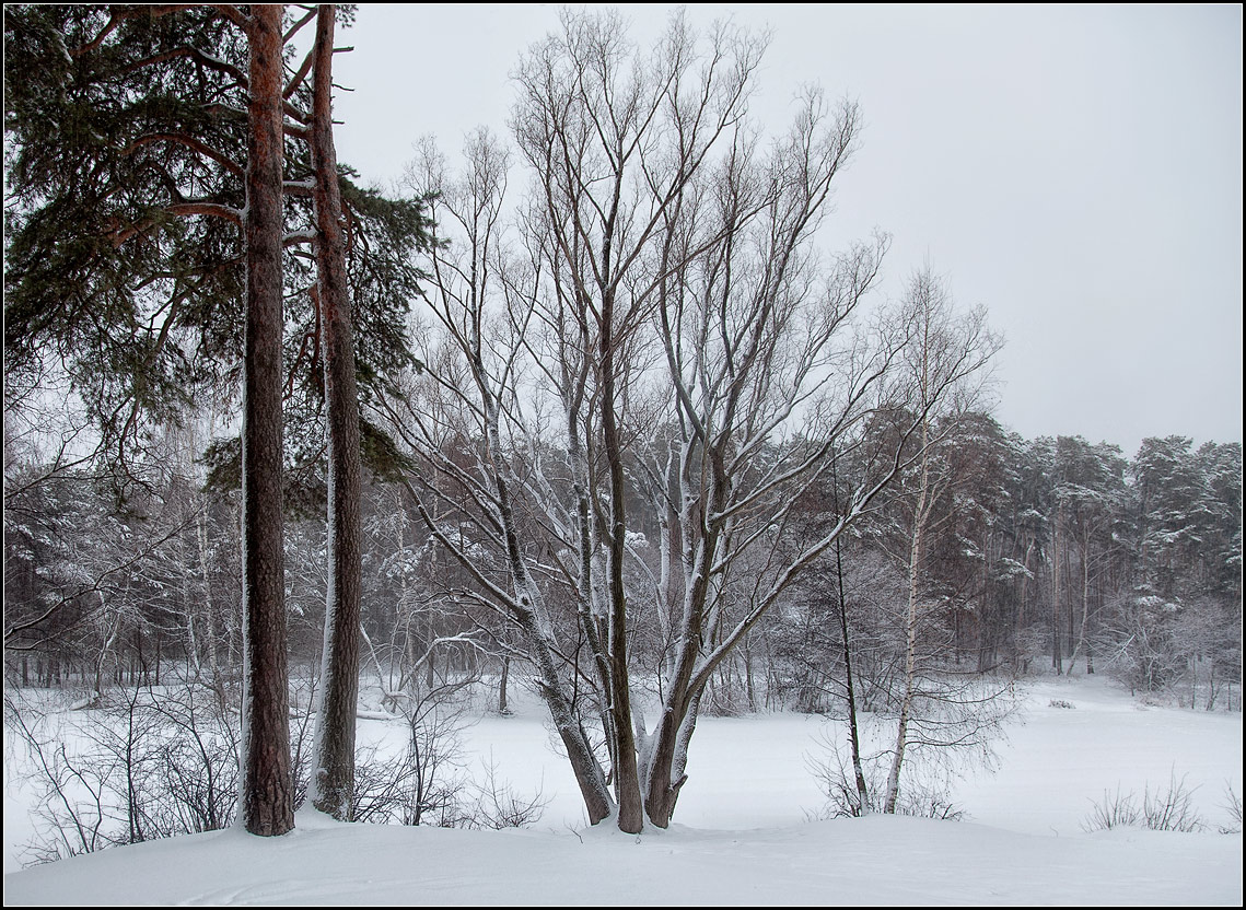 photo "winter" tags: landscape, winter