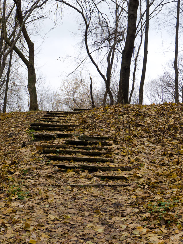 фото "Засыпанная лестница" метки: пейзаж, город, осень
