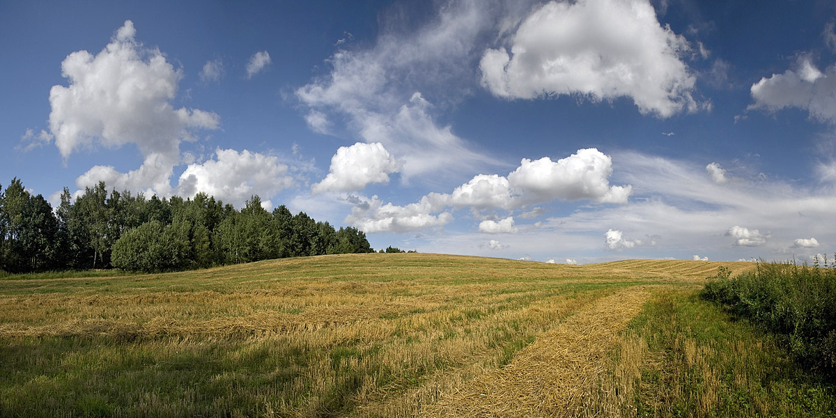 photo "***" tags: landscape, clouds, summer