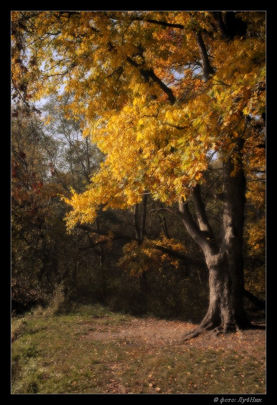 фото "осенний блюз" метки: пейзаж, осень