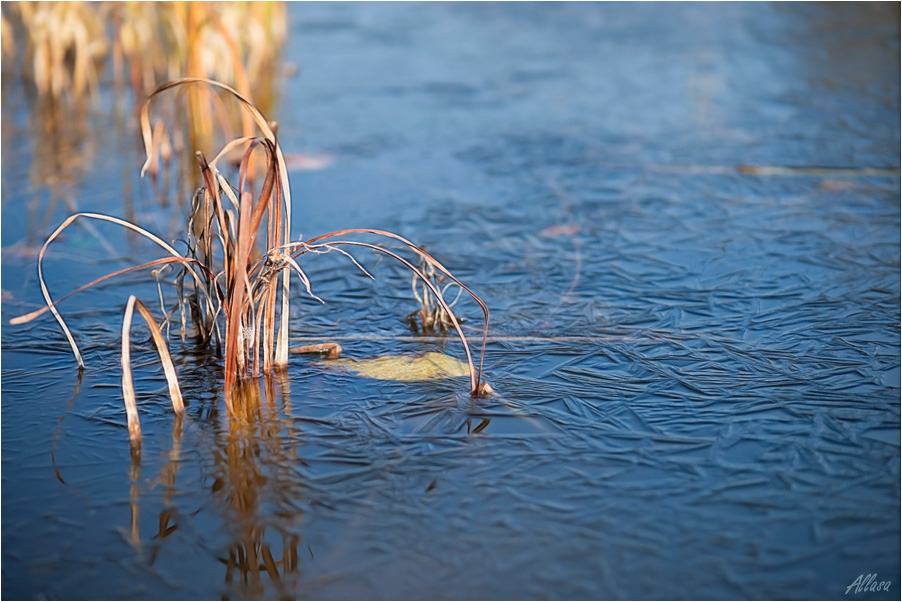 photo "***" tags: landscape, fragment, winter