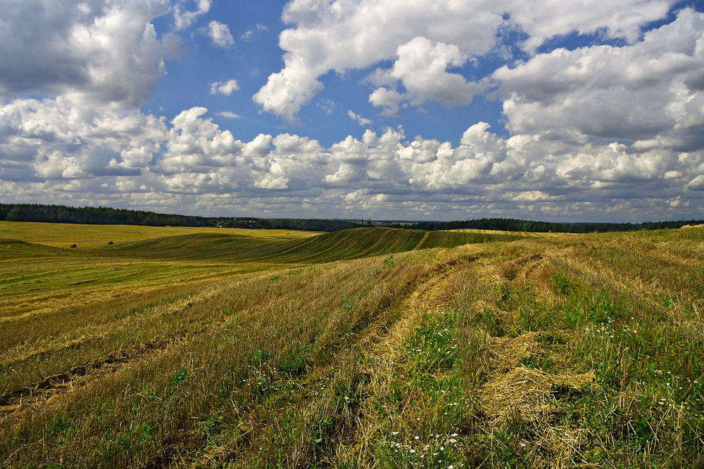 photo "***" tags: landscape, clouds, summer