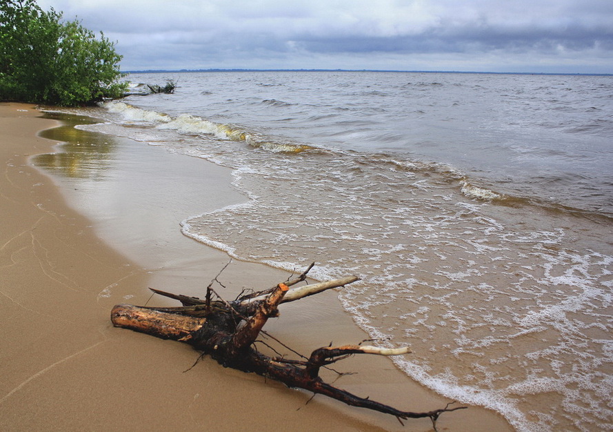 фото "Побережье Рыбинского моря" метки: пейзаж, 