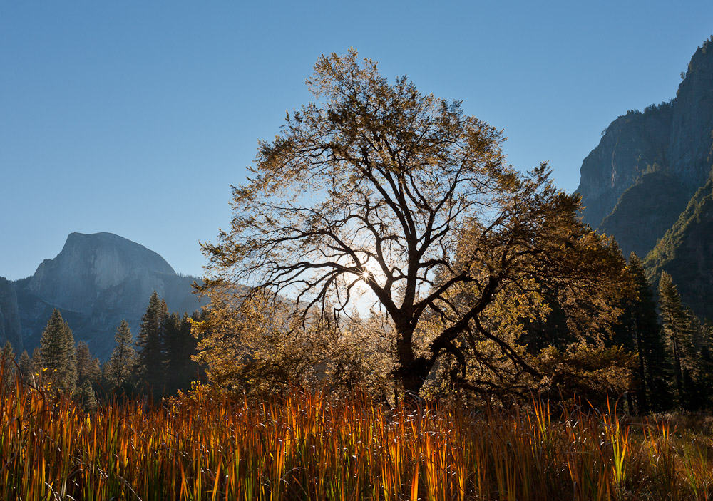 photo "***" tags: landscape, autumn, mountains