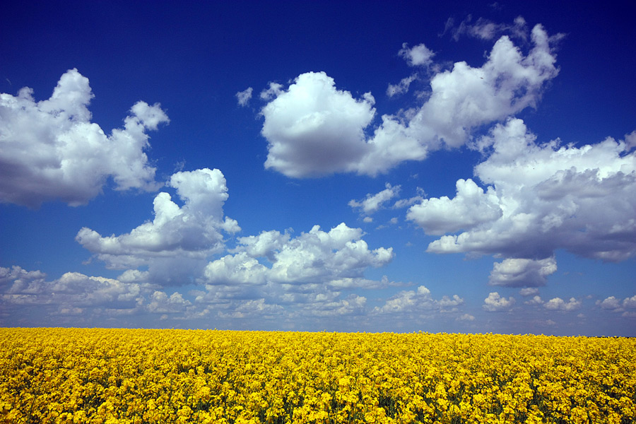 photo "Hot June" tags: landscape, clouds, sky, spring