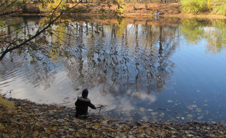 photo "***" tags: landscape, autumn