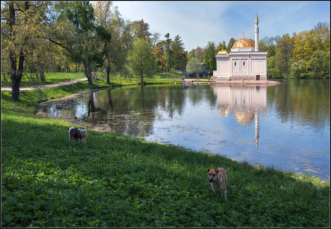 photo "Summer in the Park" tags: landscape, summer, water