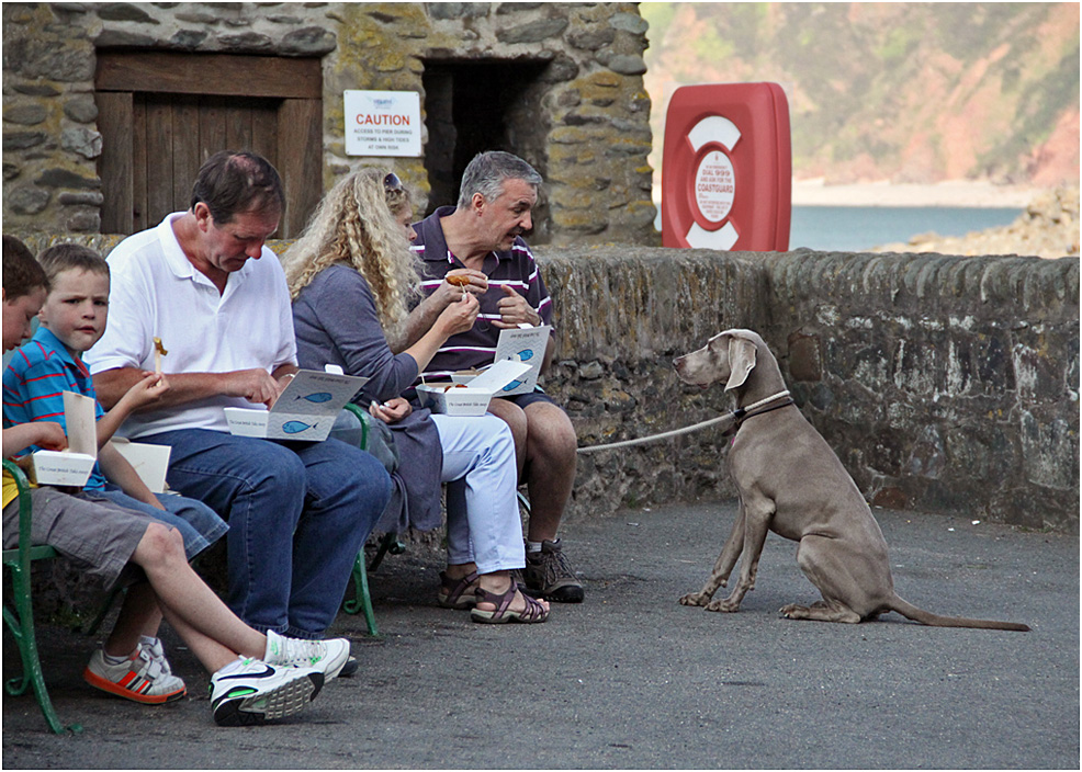 photo "- You had dinner already!" tags: reporting, humor, people, собака