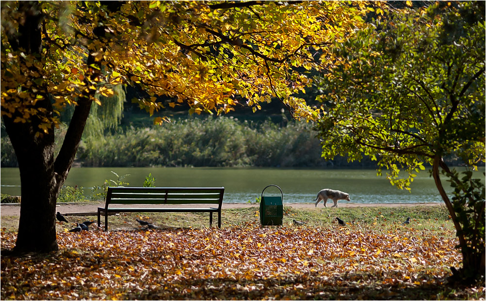 photo "***" tags: landscape, autumn