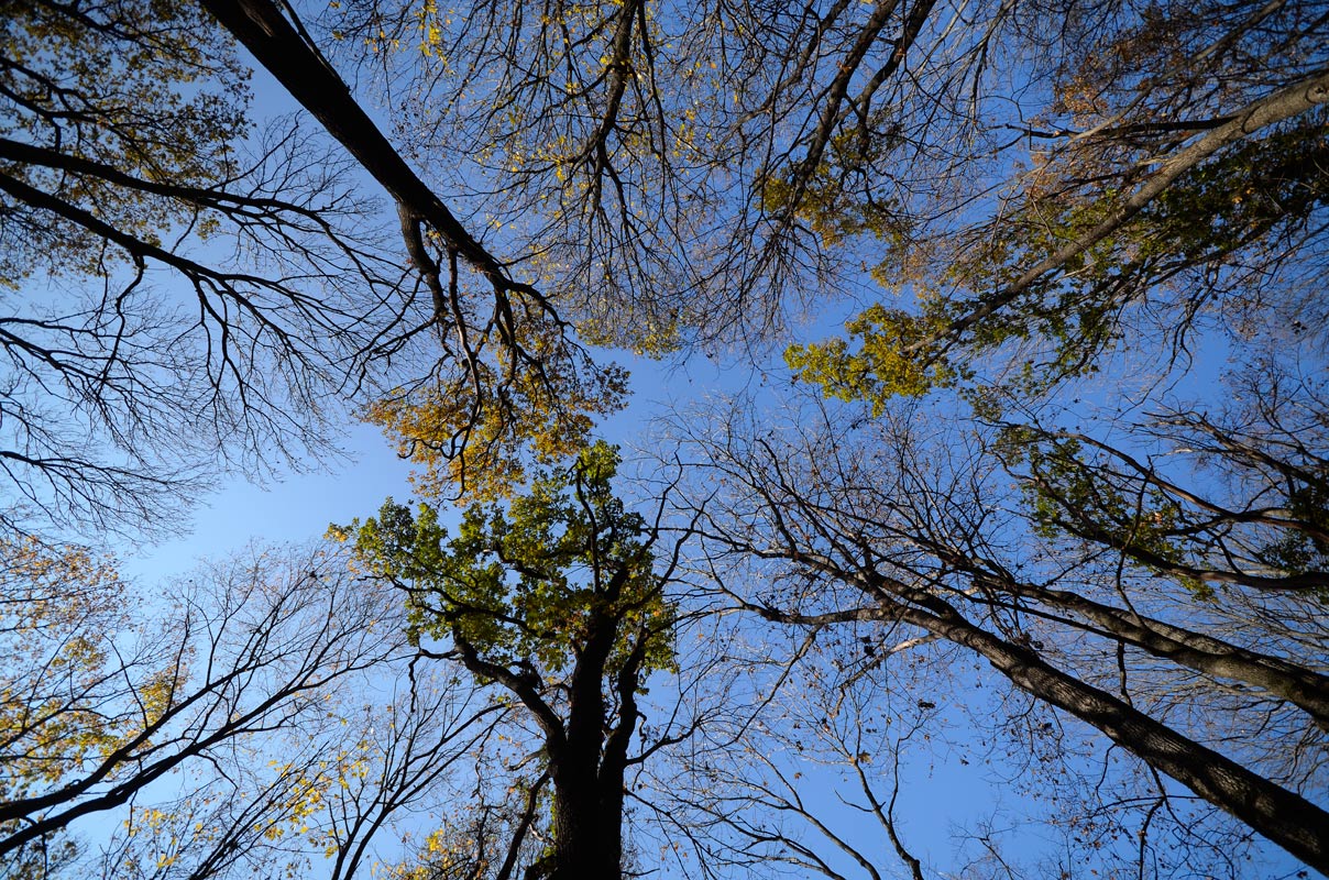 photo "***" tags: landscape, autumn