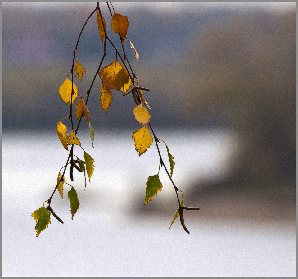 photo "***" tags: landscape, autumn