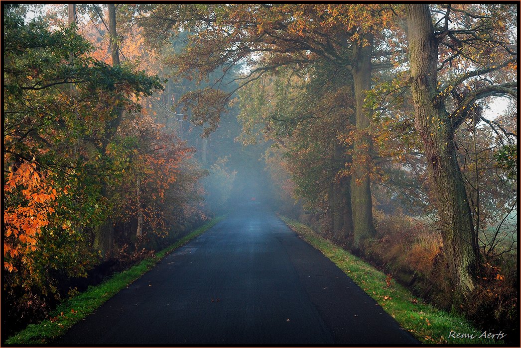 photo "car is far away" tags: landscape, autumn, sunset