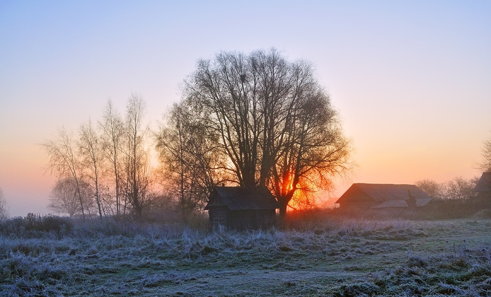 Утро ноября картинки. Морозное осеннее утро в деревне. Ноябрь в деревне. Ноябрьское утро в деревне. Морозное утро октября.