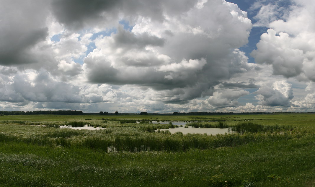 photo "***" tags: landscape, panoramic, summer